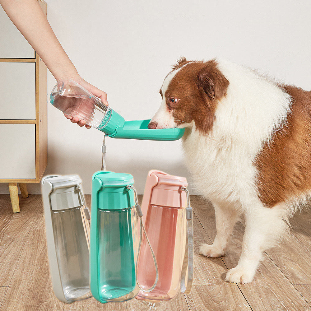 Doggie Water Bottle